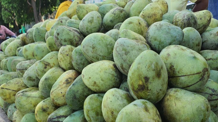 Chausa Mango (चौसा आम)
